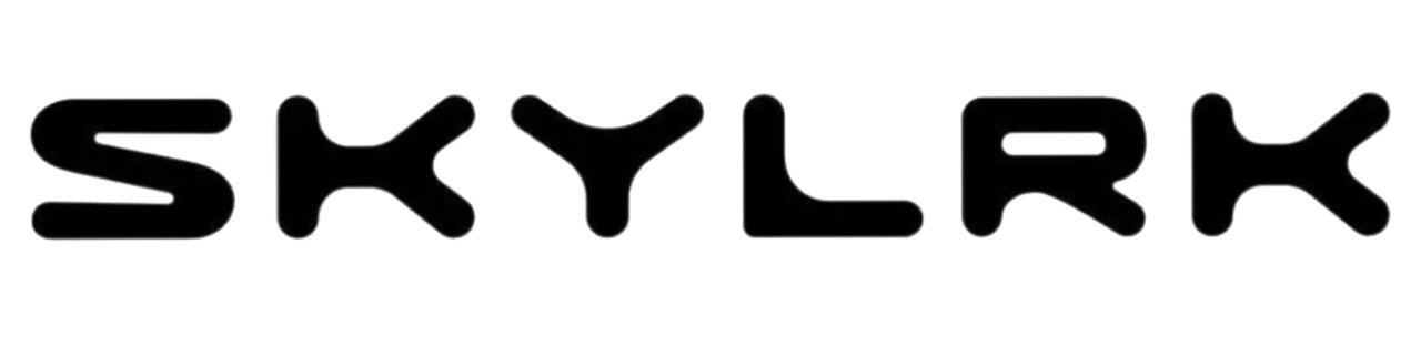 skylrk shoes